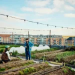 Stadsmoestuinen open dag in Delfzijl